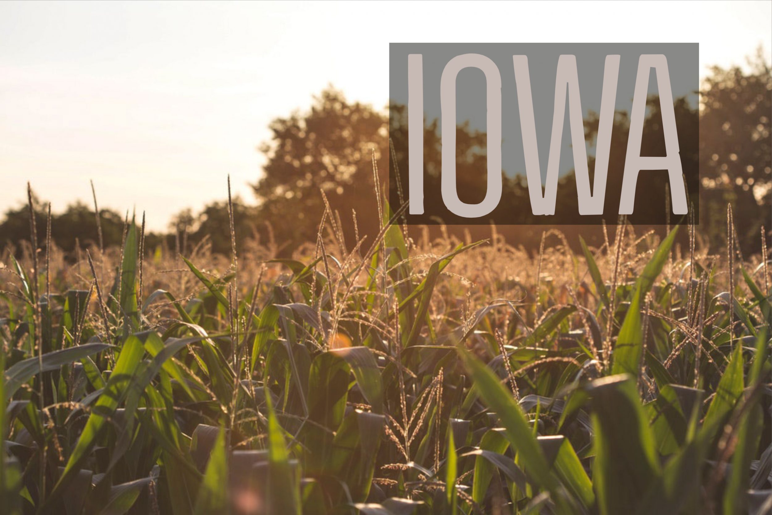 Iowa Events For Veterans